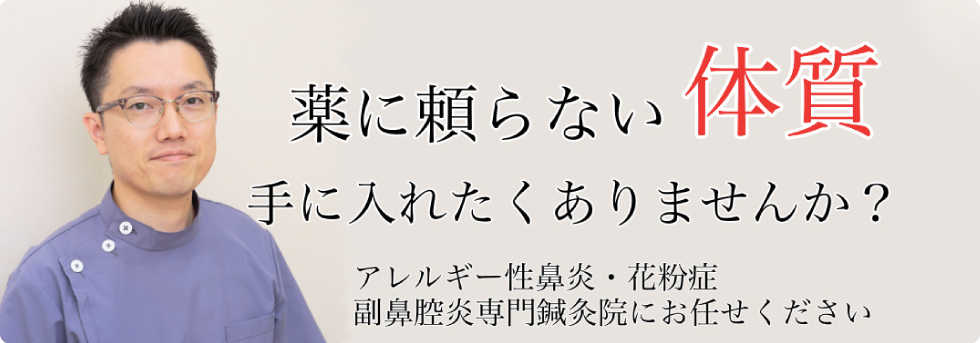 アレルギー性鼻炎・花粉症・副鼻腔炎ぺージヘッダー画像