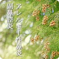アレルギー性鼻炎・副鼻腔炎
