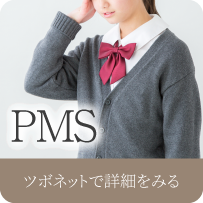 PMSの症例へ